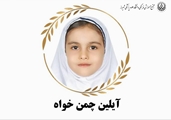 منتخب مرحله اول المپیاد انیمیشن و بازی سازی